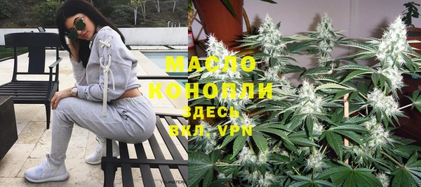индика Осташков