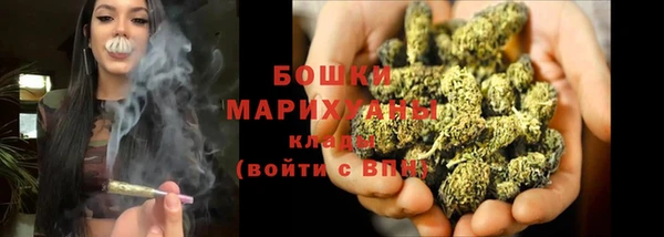индика Осташков