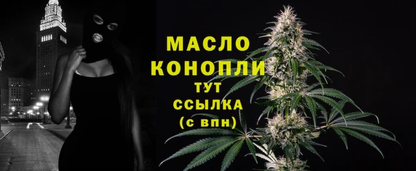 индика Осташков