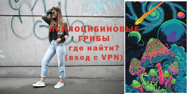 индика Осташков
