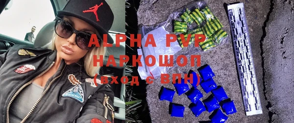 индика Осташков