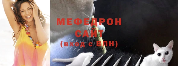 индика Осташков