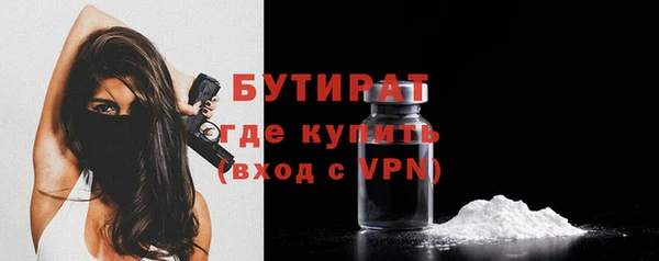 индика Осташков