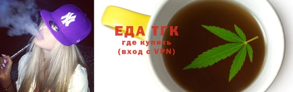 индика Осташков