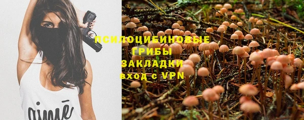 индика Осташков
