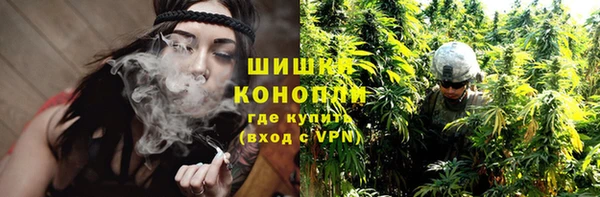 ГАЛЛЮЦИНОГЕННЫЕ ГРИБЫ Остров
