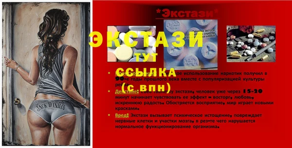 индика Осташков