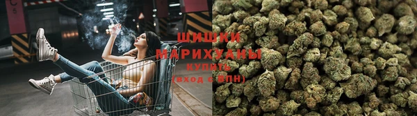 индика Осташков