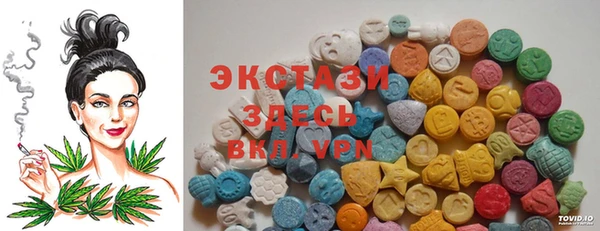 индика Осташков