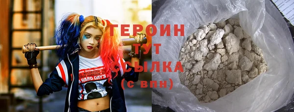 индика Осташков