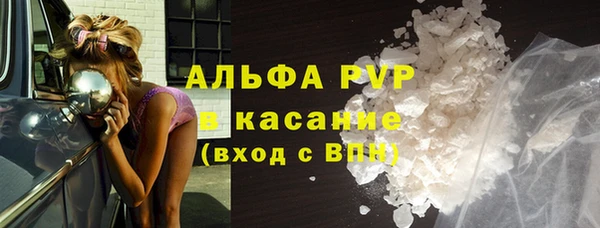 индика Осташков