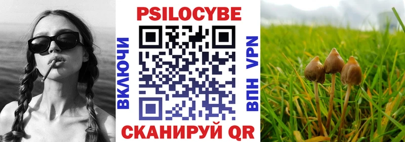 Псилоцибиновые грибы Psilocybe  Унеча 