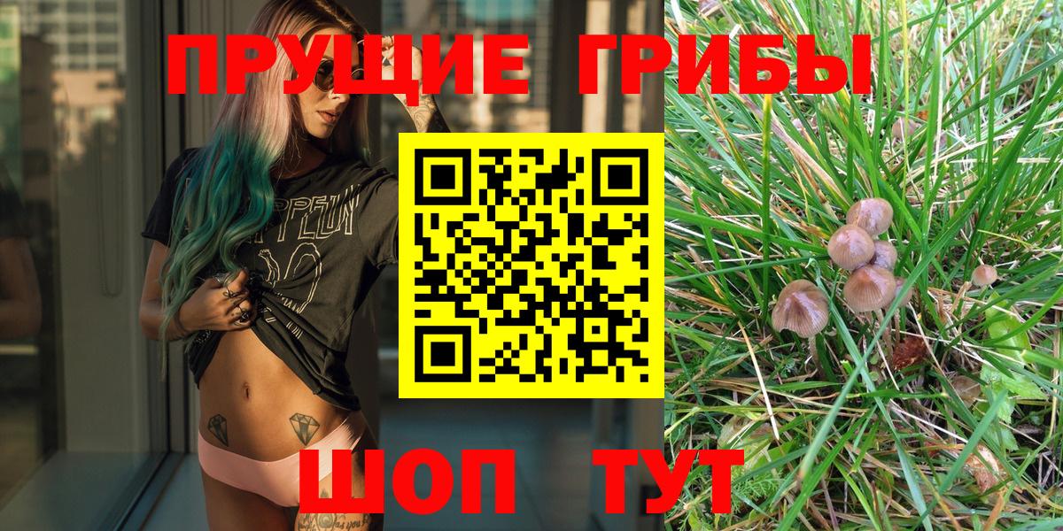 Галлюциногенные грибы Psilocybe  Унеча 