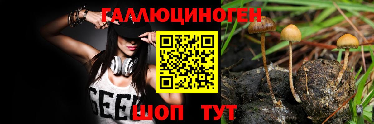 Унеча  Псилоцибиновые грибы Psilocybine cubensis  Вход с VPN 